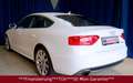 Audi A5 Sportback 2.0 TFSI quattro"2xS-Line" Weiß - thumbnail 3