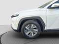 Hyundai TUCSON 1.6 crdi 115 CV Exellence 2023 Bianco - thumbnail 6