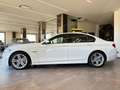 BMW 530 530d xdrive Msport 249cv auto E6 Garanzia Bianco - thumbnail 6