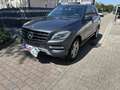 Mercedes-Benz ML 350 ML 350 CDI BlueTec (166.024) Gris - thumbnail 4