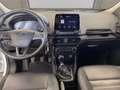 Ford EcoSport 1.0 ecoboost Active s&s 125cv Wit - thumbnail 5