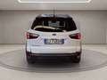 Ford EcoSport 1.0 ecoboost Active s&s 125cv Wit - thumbnail 4