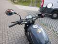 Benelli Leoncino Leoncino 500  E5 Grau - thumbnail 3
