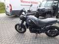 Benelli Leoncino Leoncino 500  E5 Grau - thumbnail 2