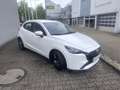 Mazda 2 1.5 SKYACTIV-G 75 EU6d Center-Line CONVENIENCE-PAK Weiß - thumbnail 5