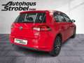 Volkswagen Golf VII 1.2 TSI "ALLSTAR" Tempo Parkp. Climatro Rot - thumbnail 6