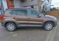 Volkswagen Tiguan II 2.0 TDi 16V 4Motion 170 cv Sport Line Toit ouvant Pano - thumbnail 8