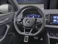 Skoda Karoq 2.0 TSI DSG 4x4 SPORTLINE MATRIX PDC SITZH Grau - thumbnail 11