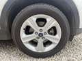 Ford Kuga 1,5 TDCi Trend Grau - thumbnail 12