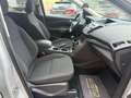 Ford Kuga 1,5 TDCi Trend Grau - thumbnail 17