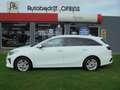 Kia Ceed SW / cee'd SW Sportswagon 1.5 T-GDi DynamicPlusLine AUTOMAAT Blanc - thumbnail 14