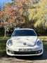 Volkswagen Coccinelle 2.0 TSI 200 cv Turbo White Fender edition Blanc - thumbnail 4