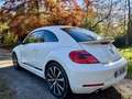 Volkswagen Coccinelle 2.0 TSI 200 cv Turbo White Fender edition Blanc - thumbnail 7