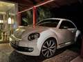 Volkswagen Coccinelle 2.0 TSI 200 cv Turbo White Fender edition Blanc - thumbnail 1