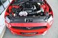 Ford Mustang Coupe 2.3 EcoBoost Aut. * erst 4.862 km! Rot - thumbnail 8