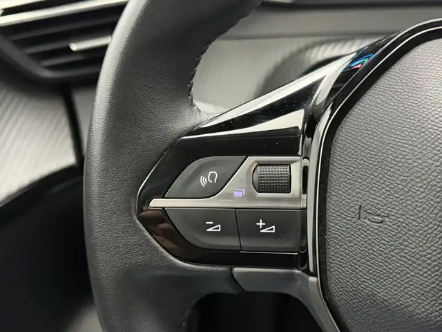 Peugeot E-208 view 21