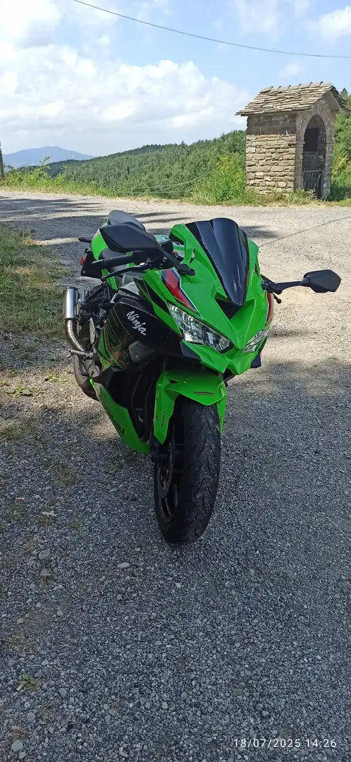 Kawasaki Ninja ZX-4RR Зелёный - 1