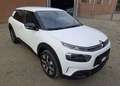 Citroen C4 C4 Cactus 1.2 puretech Shine 110cv EAT6 Bianco - thumbnail 2