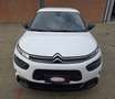 Citroen C4 C4 Cactus 1.2 puretech Shine 110cv EAT6 Bianco - thumbnail 6
