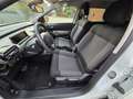 Citroen C4 C4 Cactus 1.2 puretech Shine 110cv EAT6 Bianco - thumbnail 8