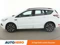 Ford Kuga 1.5 EcoBoost ST-Line Aut*NAVI*TEMPO*PDC*SHZ*AHK* Weiß - thumbnail 3