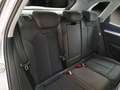 Audi Q5 Q5 35 TDI S tronic Business FINO A 3 ANNI DI GARA Grigio - thumbnail 15