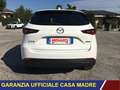 Mazda CX-5 2.2L Skyactiv-D 150cv Exceed Auto PARI AL NUOVO!! Weiß - thumbnail 5