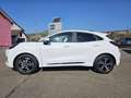 Ford Puma ST-Line *ACC*NAVI*360°KAM*LED*PDC*WINPAK* Blanc - thumbnail 5