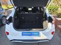 Ford Puma ST-Line *ACC*NAVI*360°KAM*LED*PDC*WINPAK* Blanc - thumbnail 8