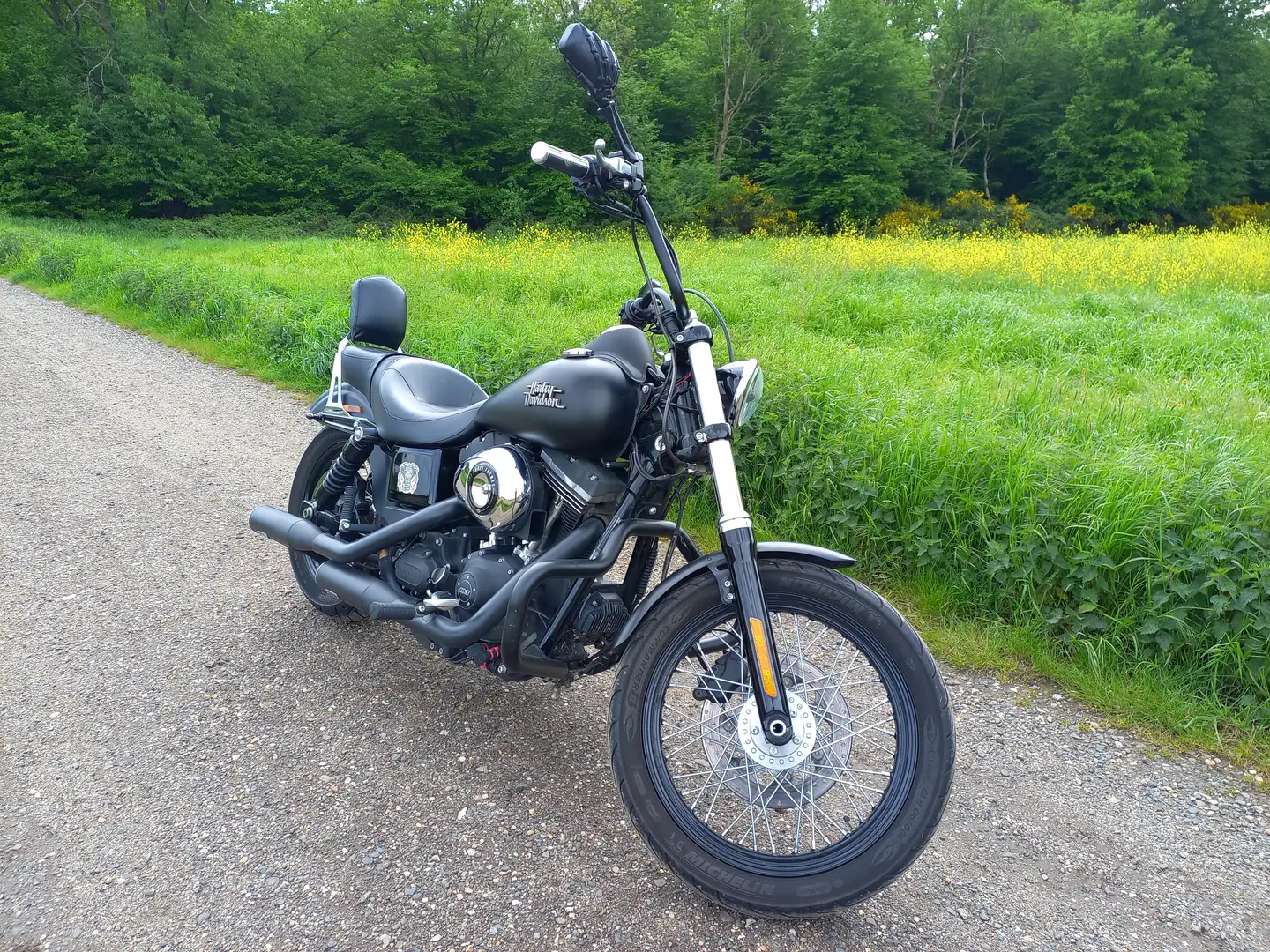Harley-Davidson Dyna Street Bob - 1