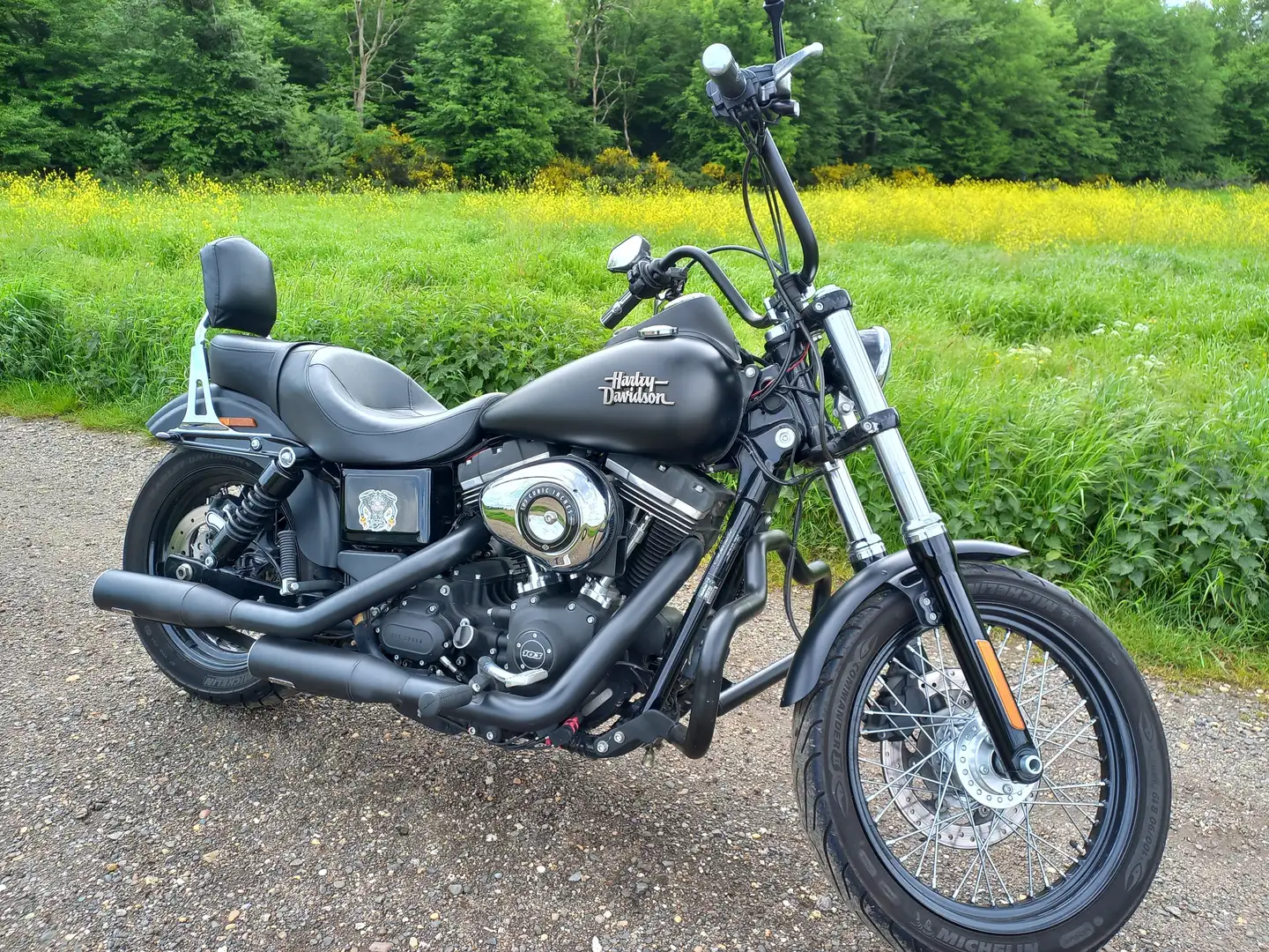 Harley-Davidson Dyna Street Bob - 2