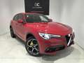 Alfa Romeo Stelvio 2.2 Executive Q4 210 Aut. Rojo - thumbnail 9