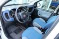Fiat Panda Panda 0.9 TwinAir Lounge Bianco - thumbnail 8