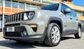 Jeep Renegade 1.6 mjt Limited 2wd 120cv Grey - thumbnail 1
