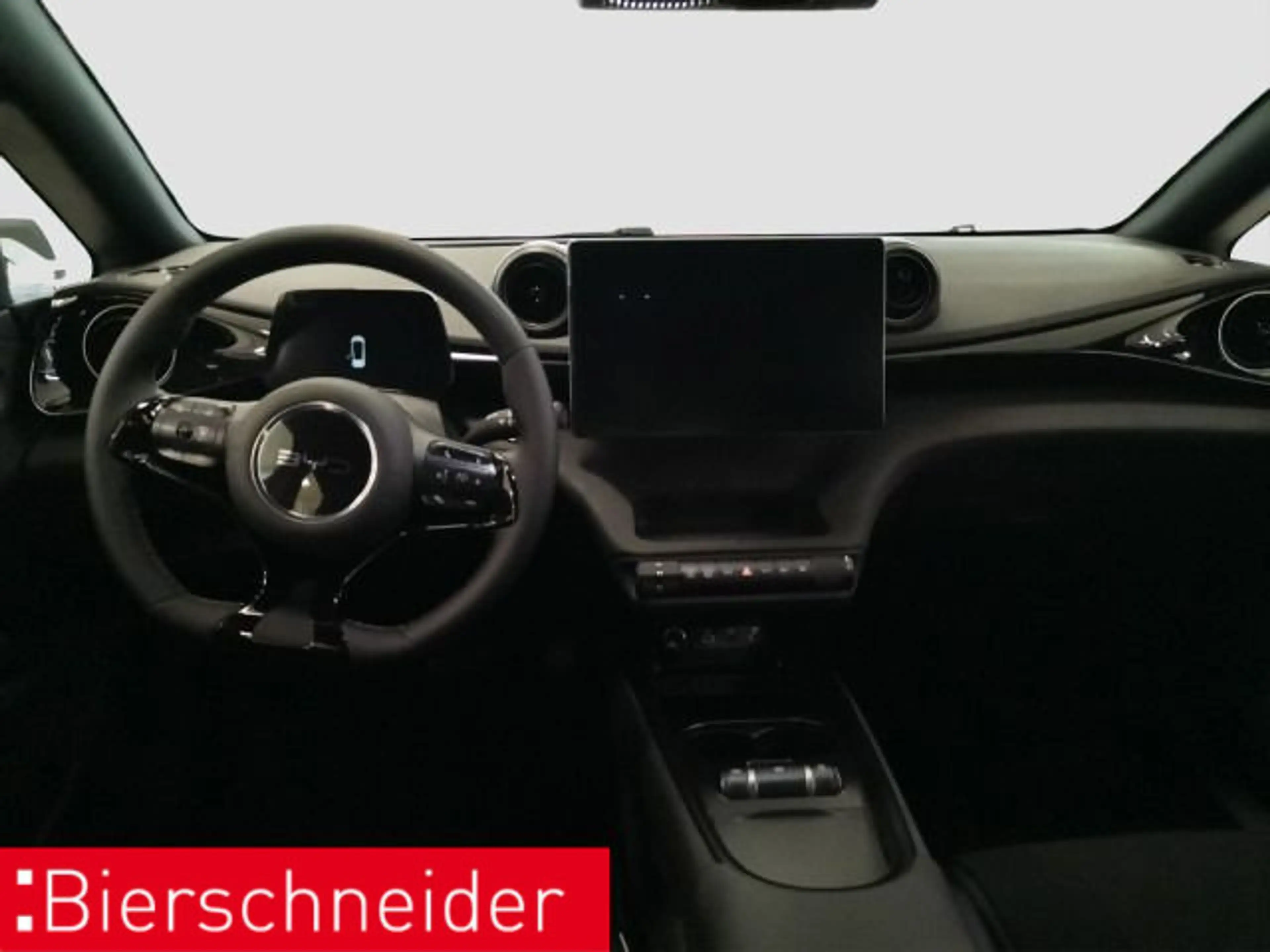 BYD Dolphin Dolphin DMS Comfort Navi ACC CAM — photo 13