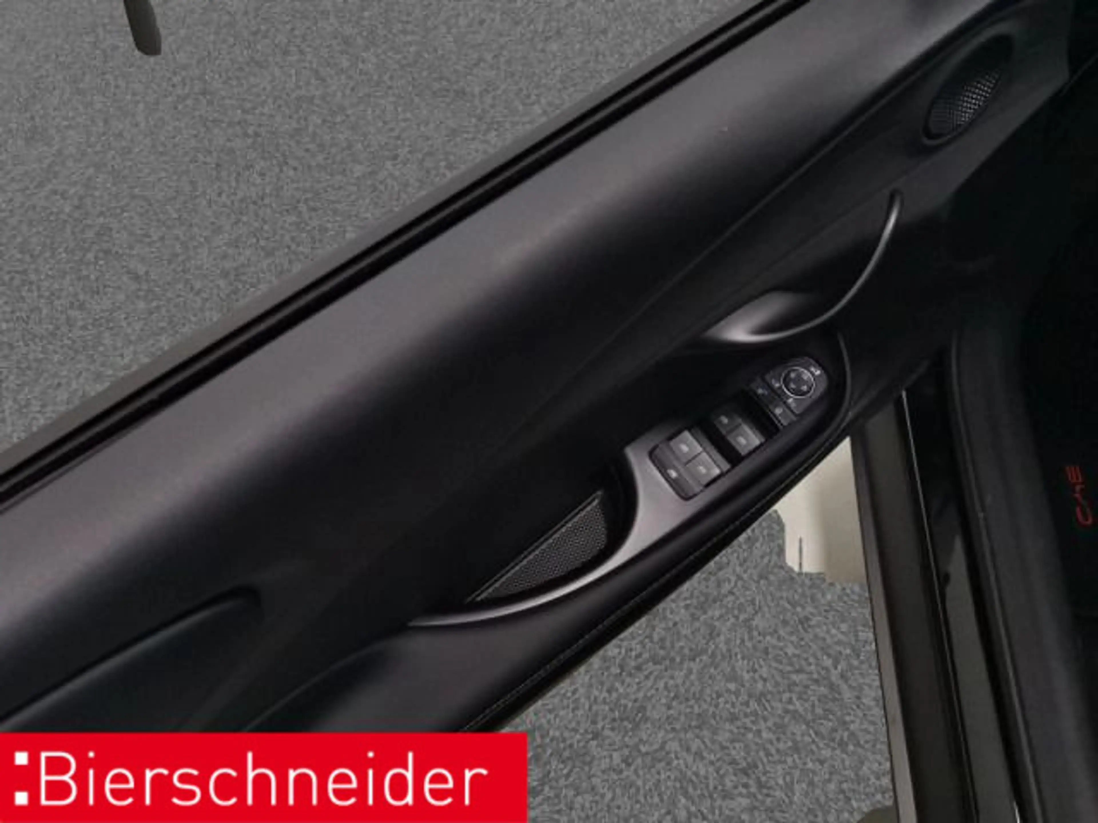 BYD Dolphin Dolphin DMS Comfort Navi ACC CAM — photo 10