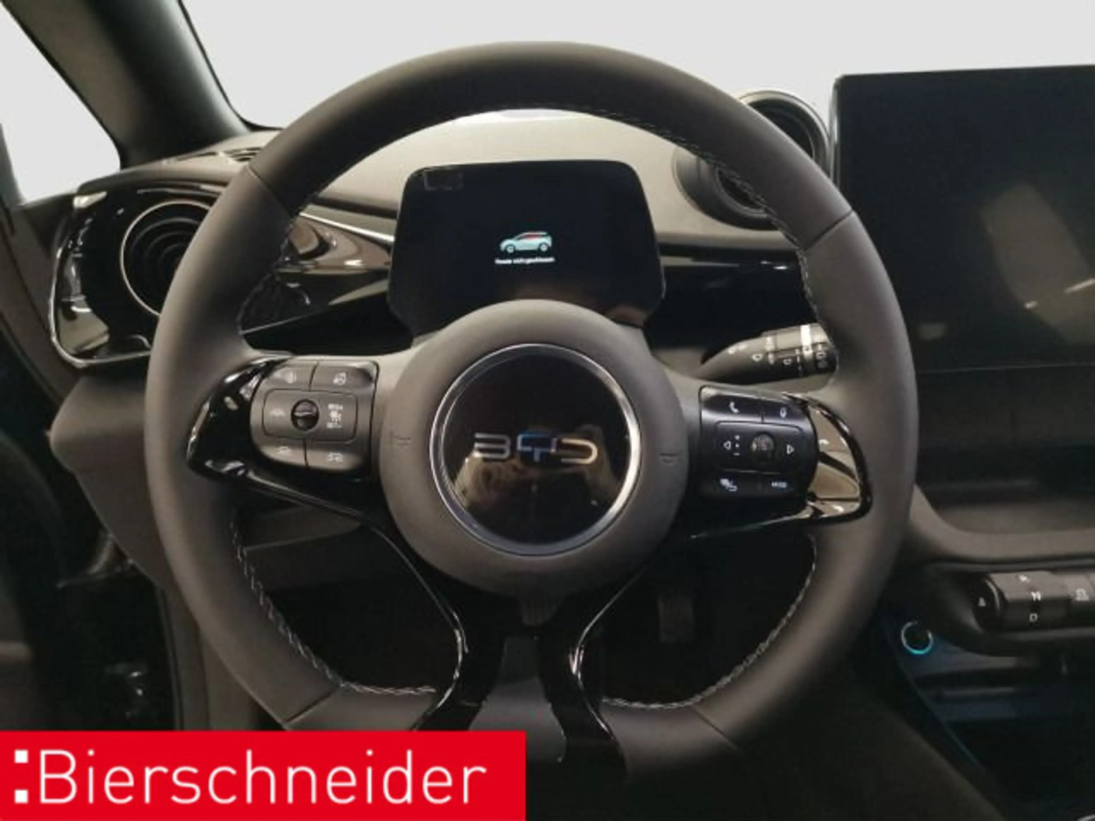 BYD Dolphin Dolphin DMS Comfort Navi ACC CAM — photo 12