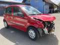 Fiat Panda 1,2 69 Easy  --- Wenig Kilometer --- Rot - thumbnail 3