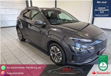 Trend Elektro 2WD