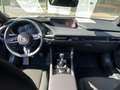 Mazda 3 SKYACTIV-G 2.0 122PS SELECTION Navi Klima Grau - thumbnail 9