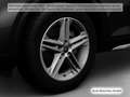 Audi Q5 40 TDI qu.S Tronic S line AHK  Navi+ LED Kame Schwarz - thumbnail 19