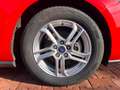 Ford Focus Focus 1.0 ecoboost 100cv Rot - thumbnail 8