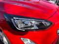 Ford Focus Focus 1.0 ecoboost 100cv Rot - thumbnail 7