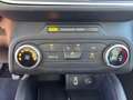 Ford Focus Focus 1.0 ecoboost 100cv Rot - thumbnail 14