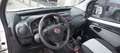 Fiat Qubo 1.3 69 cv Mjt Diesel Furgone Van N1 Iva Esposta Blanc - thumbnail 9