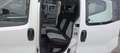 Fiat Qubo 1.3 69 cv Mjt Diesel Furgone Van N1 Iva Esposta Blanc - thumbnail 15