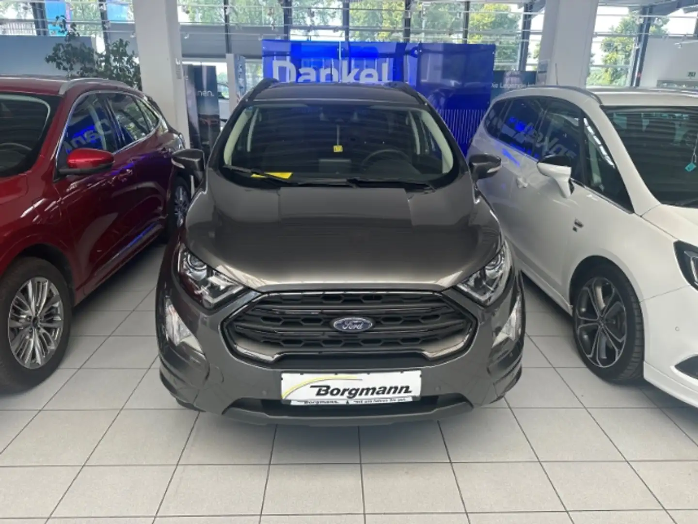 Ford EcoSport ST-Line 1.0 EcoBoost EU6d 2012.75(05 2012-) Navi S Grijs - 2
