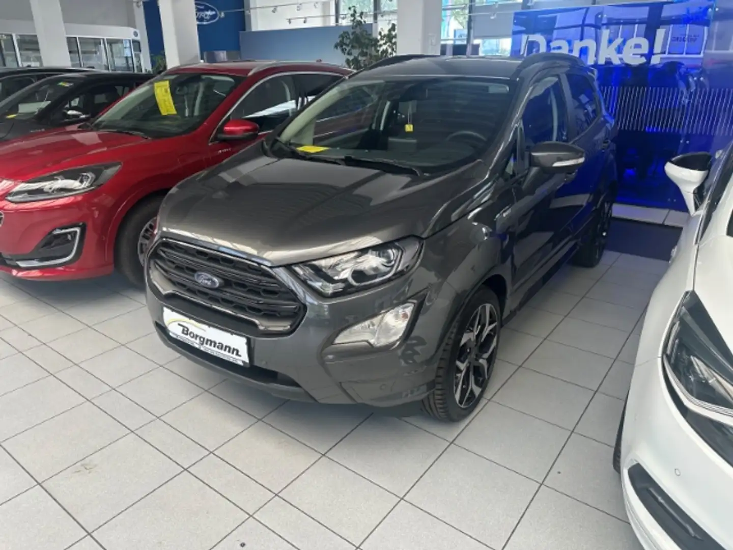 Ford EcoSport ST-Line 1.0 EcoBoost EU6d 2012.75(05 2012-) Navi S Grijs - 1