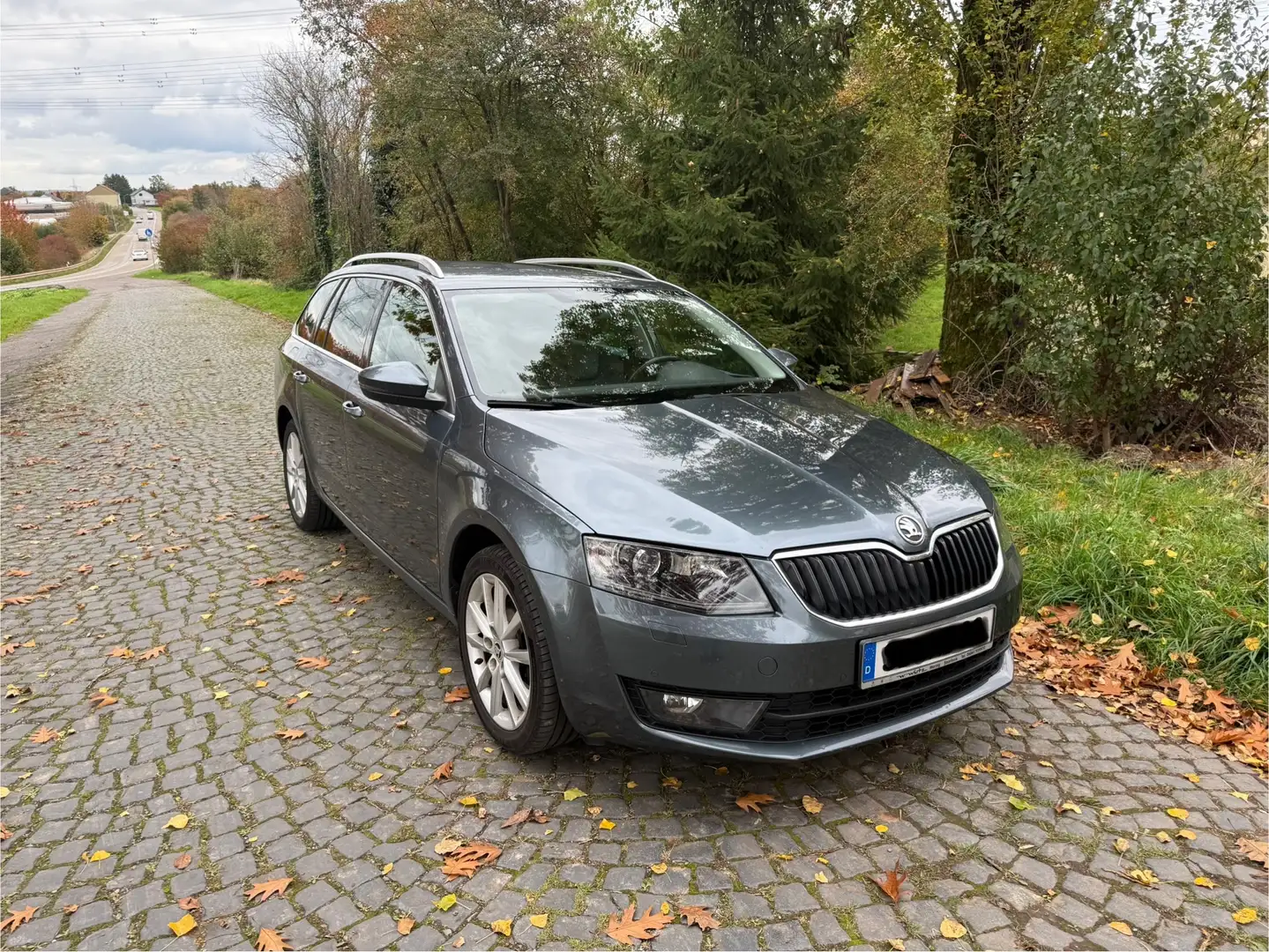 Skoda Octavia Octavia Combi 2.0 TDI Green tec 4x4Elegance Stříbrná - 1
