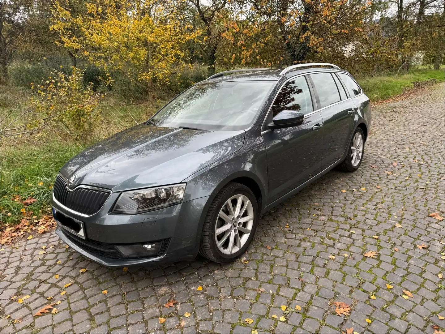 Skoda Octavia Octavia Combi 2.0 TDI Green tec 4x4Elegance Stříbrná - 2